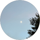 Litzy profile picture